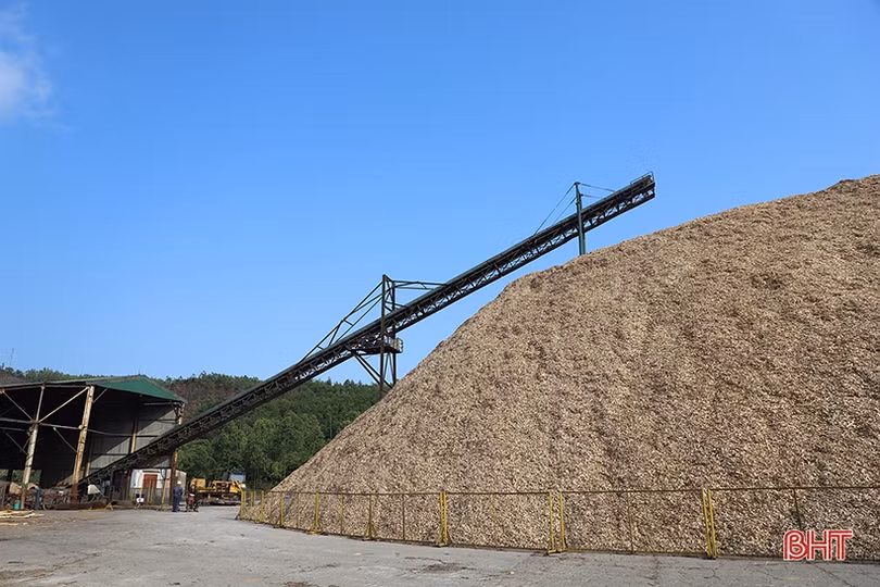Bứt phá ngoạn mục, kim ngạch xuất khẩu của Hà Tĩnh đạt 2,3 tỷ USD