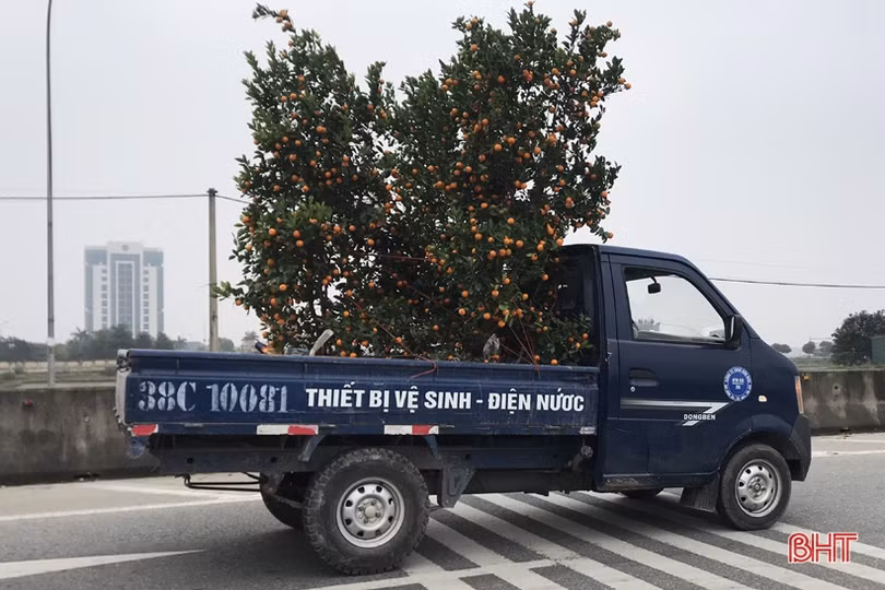 Nghề “chở tết về nhà” thu nhập khá những ngày cuối năm ở Hà Tĩnh