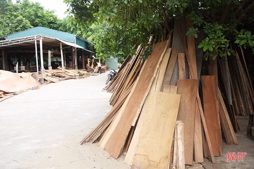 Doanh nghiệp chế biến gỗ lấn chiếm đê tả Nghèn, bao giờ sự việc được giải quyết?