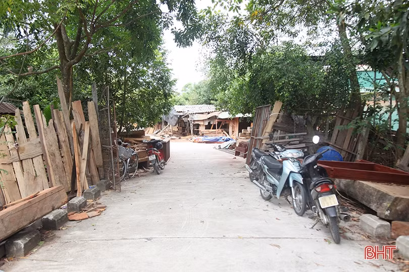 Doanh nghiệp chế biến gỗ lấn chiếm đê tả Nghèn, bao giờ sự việc được giải quyết?
