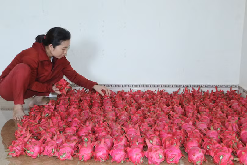 Sản phẩm nông nghiệp Hà Tĩnh đắt hàng, được giá dịp rằm tháng 7