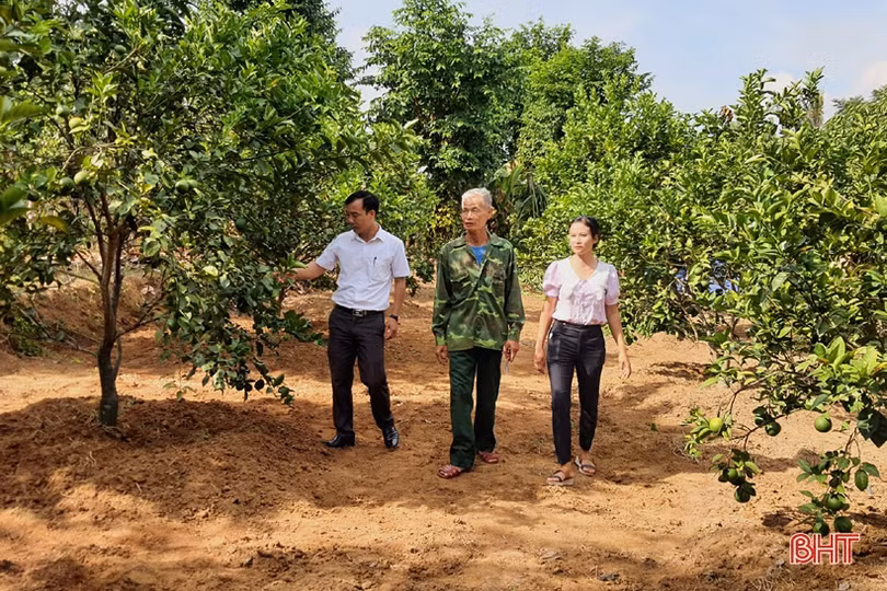 3 nữ thủ lĩnh” chung tay xây dựng khu dân cư mẫu ở Kỳ Anh