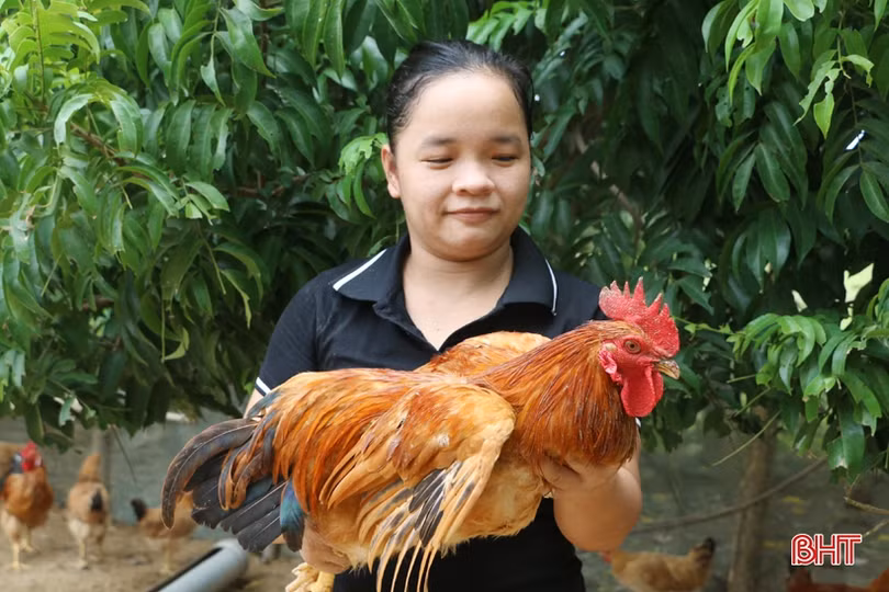 Sản phẩm nông nghiệp Hà Tĩnh đắt hàng, được giá dịp rằm tháng 7
