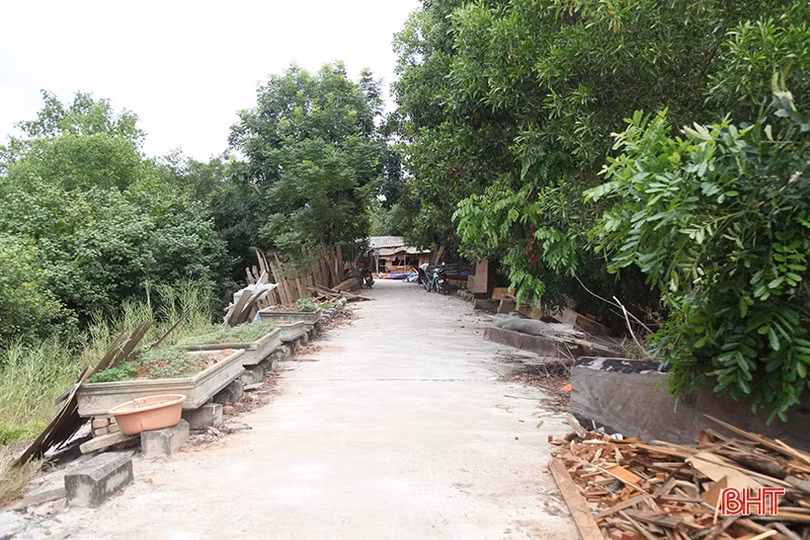 Doanh nghiệp chế biến gỗ lấn chiếm đê tả Nghèn, bao giờ sự việc được giải quyết?
