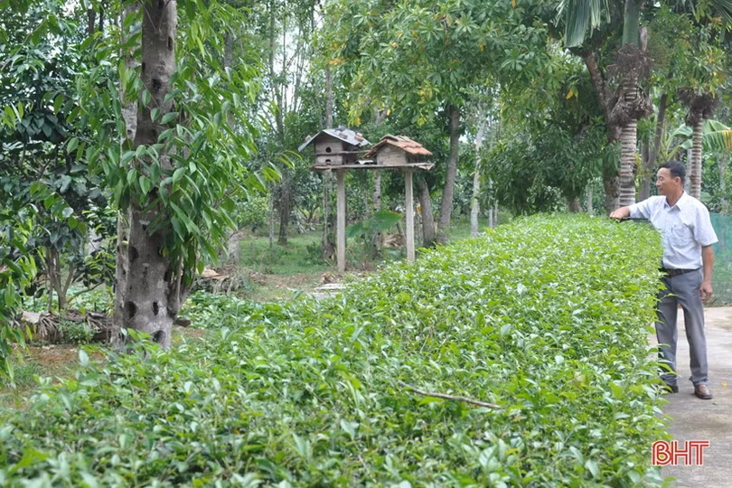 Các tầng lớp Nhân dân Hà Tĩnh ra sức thi đua chào mừng Đại hội Đảng bộ tỉnh