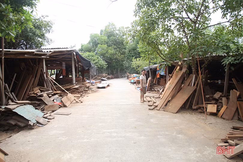 Doanh nghiệp chế biến gỗ lấn chiếm đê tả Nghèn, bao giờ sự việc được giải quyết?