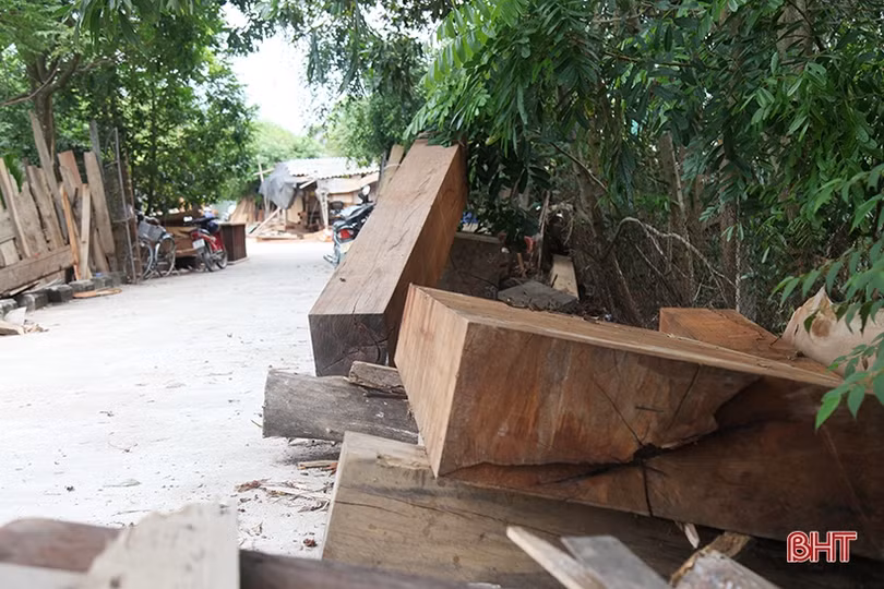 Doanh nghiệp chế biến gỗ lấn chiếm đê tả Nghèn, bao giờ sự việc được giải quyết?