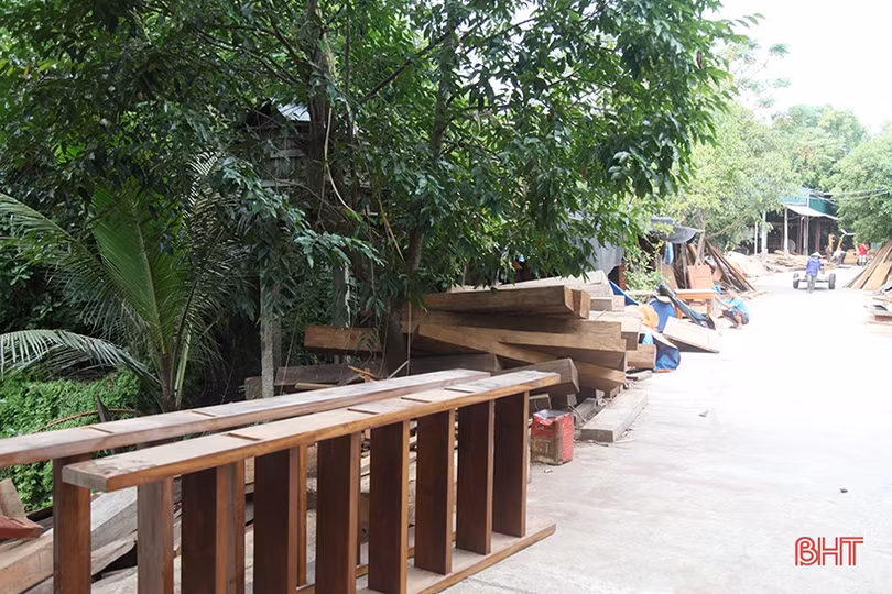 Doanh nghiệp chế biến gỗ lấn chiếm đê tả Nghèn, bao giờ sự việc được giải quyết?