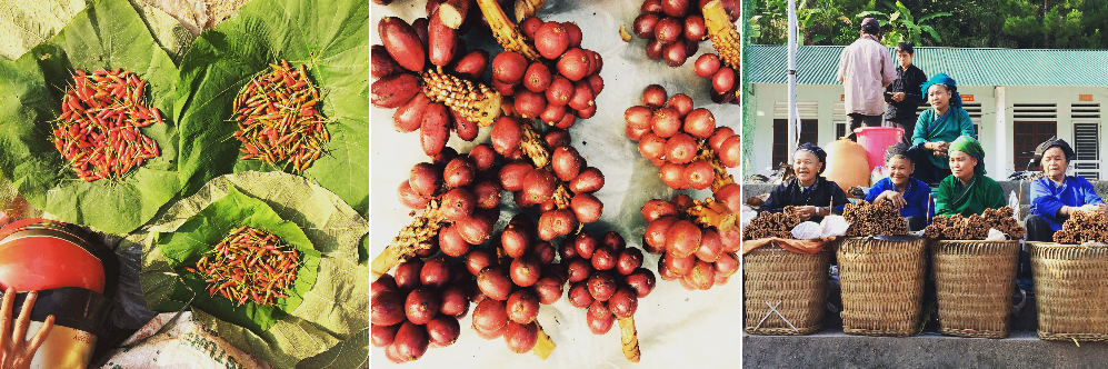 Hoàng Su Phì đẹp hút hồn mùa lúa chín