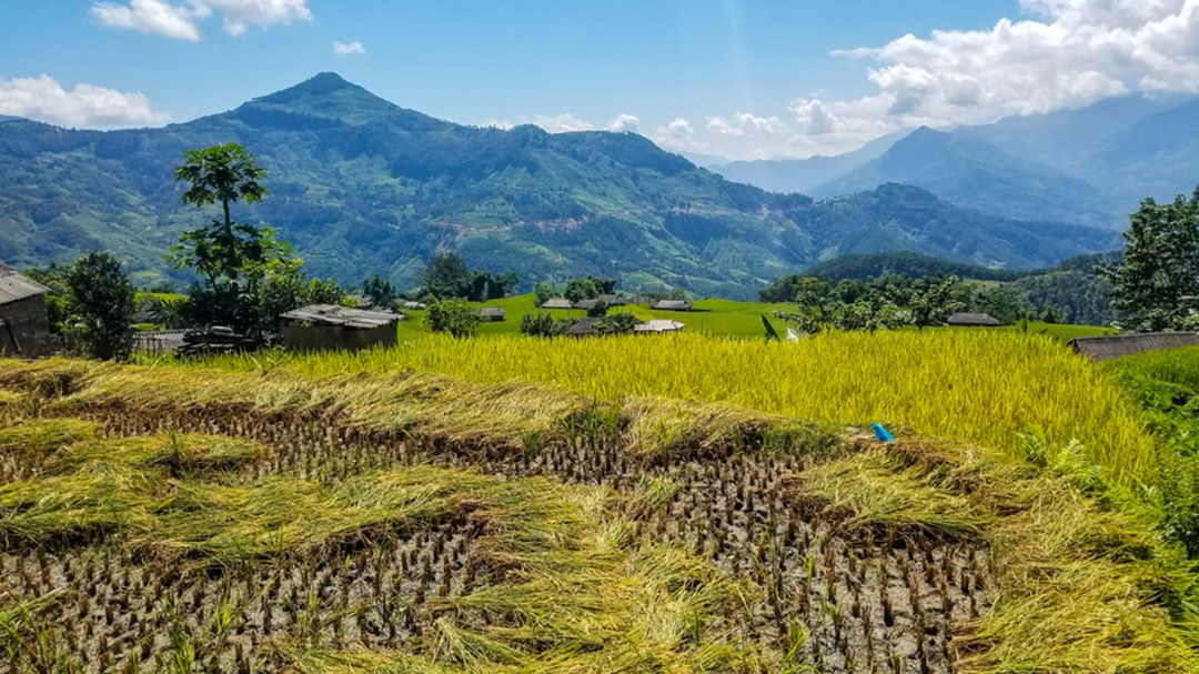 Hoàng Su Phì đẹp hút hồn mùa lúa chín