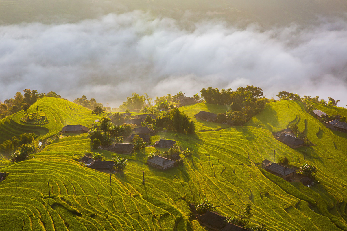Hoàng Su Phì đẹp hút hồn mùa lúa chín