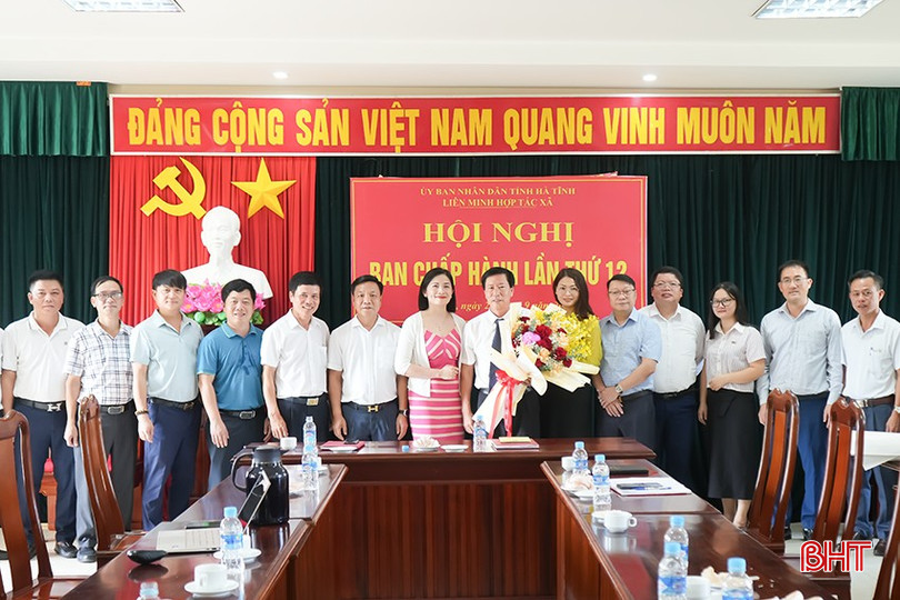 bqbht_br_lien-minh-2.png