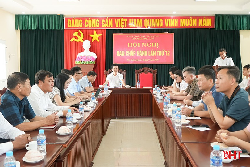 bqbht_br_lien-minh.png