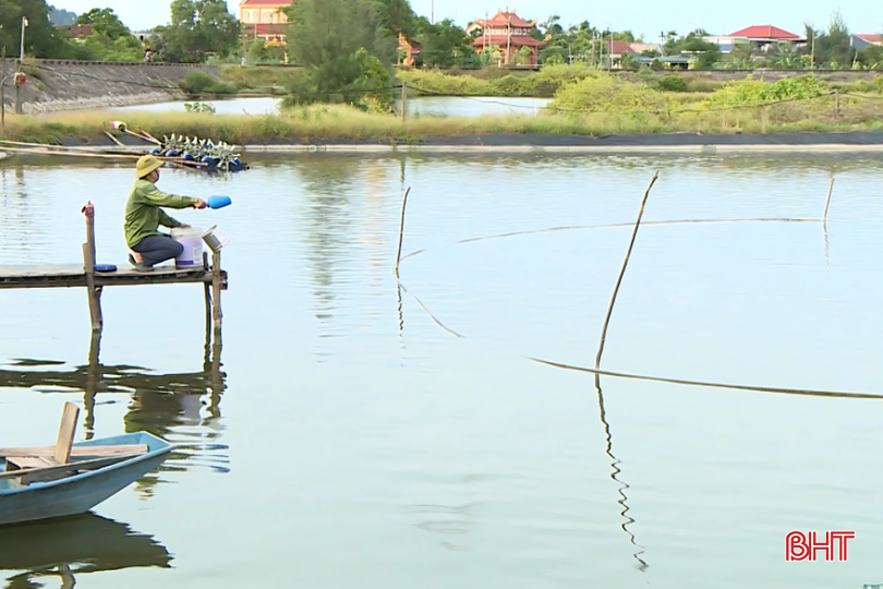 bqbht_br_thiet-ke-chua-co-ten-4.png