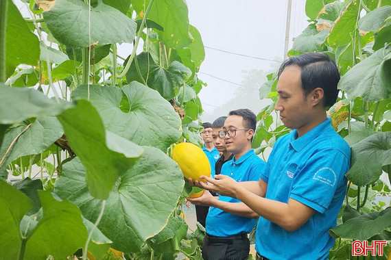 50 tỷ đồng hỗ trợ thanh niên khởi nghiệp, lập nghiệp