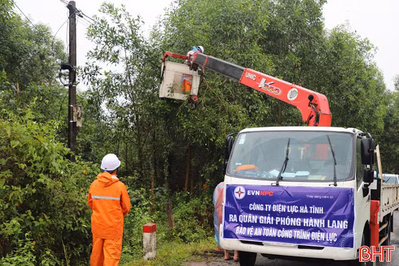 Điện lực Hà Tĩnh ra quân giải phóng hành lang bảo vệ an toàn lưới điện