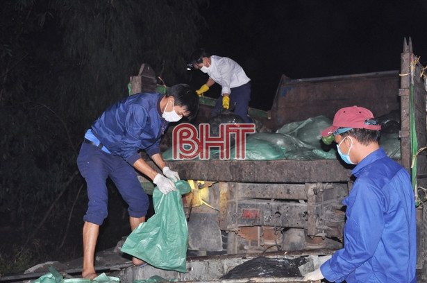 Nhiều người dân nghi hơn 2 tấn cá mòi dạt vào bờ biển Lộc Hà bị kích điện gây nên