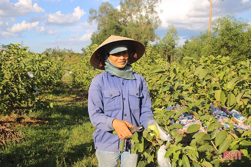 Phố đẹp trong làng quê Hà Tĩnh