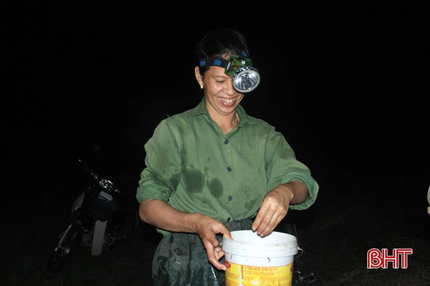 Người dân Xuân Hồng chong đèn, lội ruộng “săn” đặc sản trong đêm