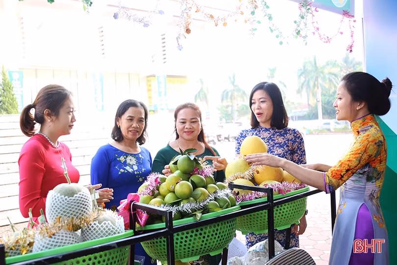 Phó Thủ tướng Vương Đình Huệ và các đại biểu ấn tượng với sản phẩm nông nghiệp, nông thôn tiêu biểu Hà Tĩnh