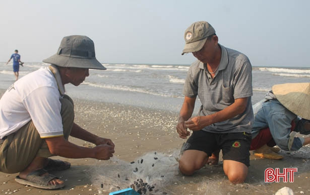 Biển Lộc Hà không còn hiện tượng cá chết dạt vào bờ