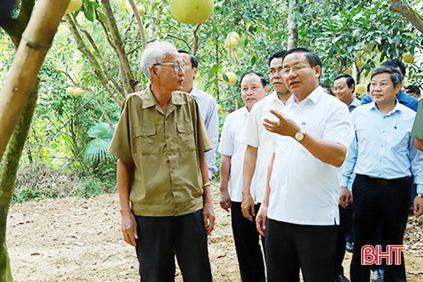 Lấy ý kiến nhân dân Hà Tĩnh về đề nghị Chủ tịch nước tặng thưởng huân chương cho các tập thể, cá nhân