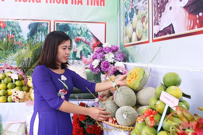 Phó Thủ tướng Vương Đình Huệ và các đại biểu ấn tượng với sản phẩm nông nghiệp, nông thôn tiêu biểu Hà Tĩnh