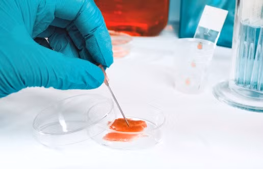 Thịt lợn nhân tạo được làm thế nào, có ngon như thịt thật?