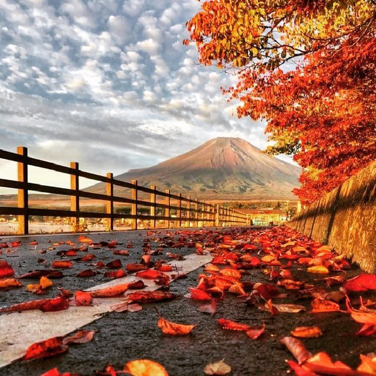 Rừng lá phong đỏ rợp trời thu Nhật Bản