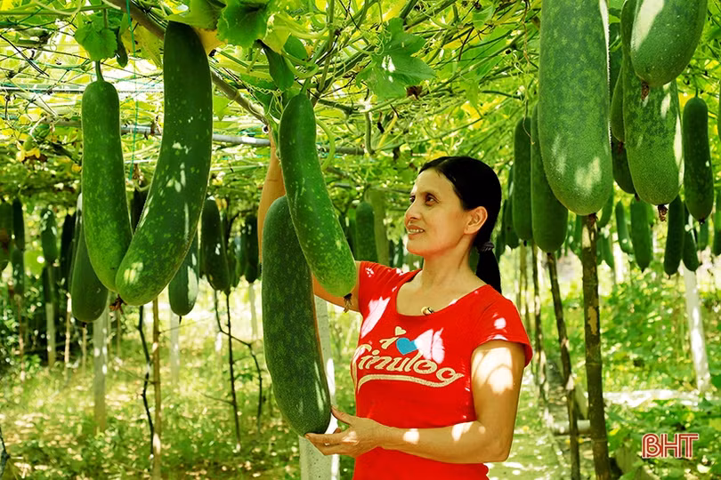 Hà Tĩnh chuyển trọng tâm xây dựng nông thôn mới từ chiều rộng sang chiều sâu