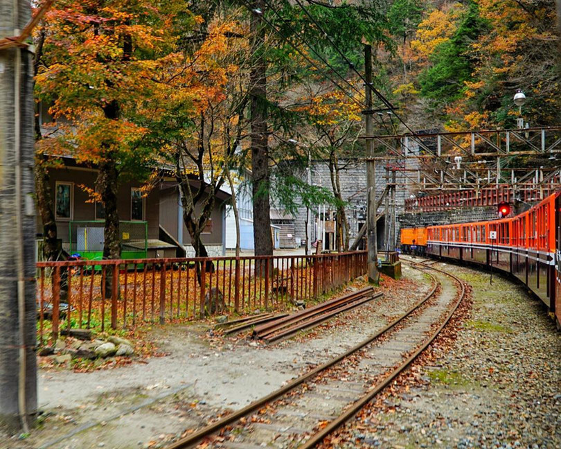 Rừng lá phong đỏ rợp trời thu Nhật Bản