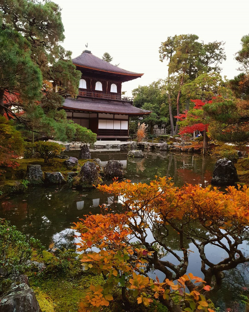 Rừng lá phong đỏ rợp trời thu Nhật Bản