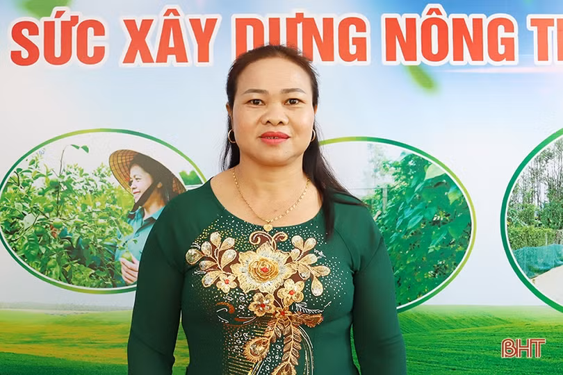 Đại biểu “bật mí” nhiều cách làm hay, kinh nghiệm quý trong xây dựng NTM ở Hà Tĩnh