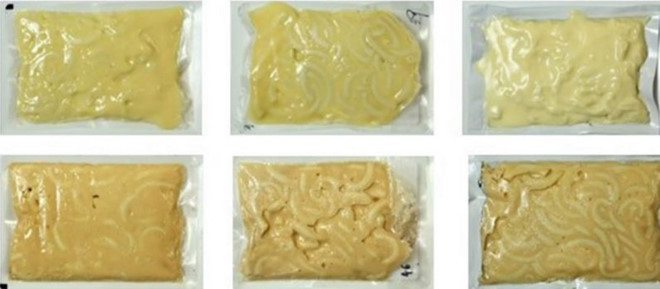 Sau nhiều năm, phi hành gia sắp được ăn mì