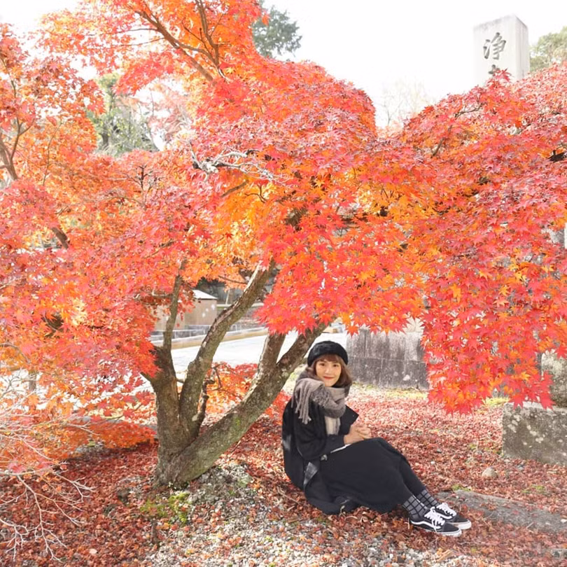 Rừng lá phong đỏ rợp trời thu Nhật Bản