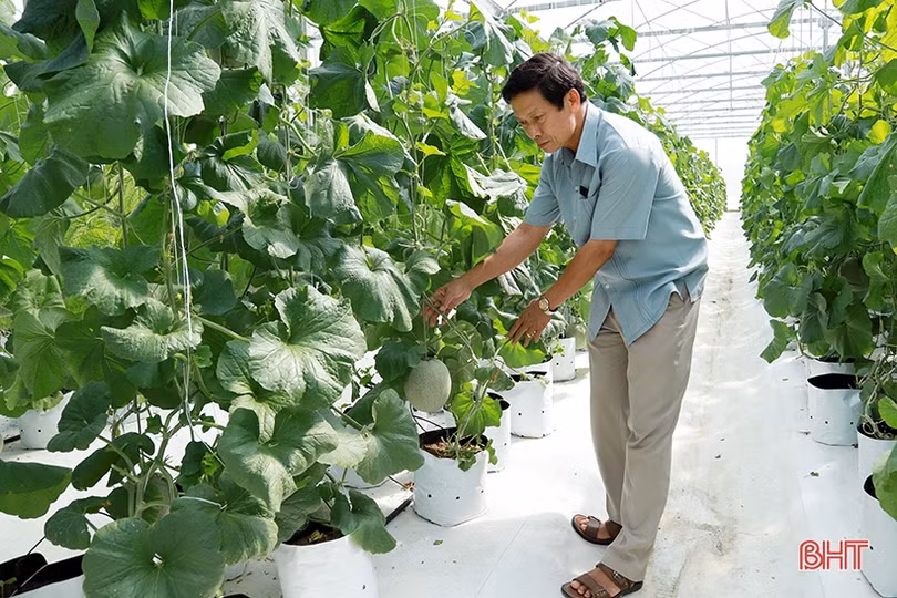 Hà Tĩnh chuyển trọng tâm xây dựng nông thôn mới từ chiều rộng sang chiều sâu