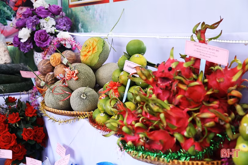 Phó Thủ tướng Vương Đình Huệ và các đại biểu ấn tượng với sản phẩm nông nghiệp, nông thôn tiêu biểu Hà Tĩnh