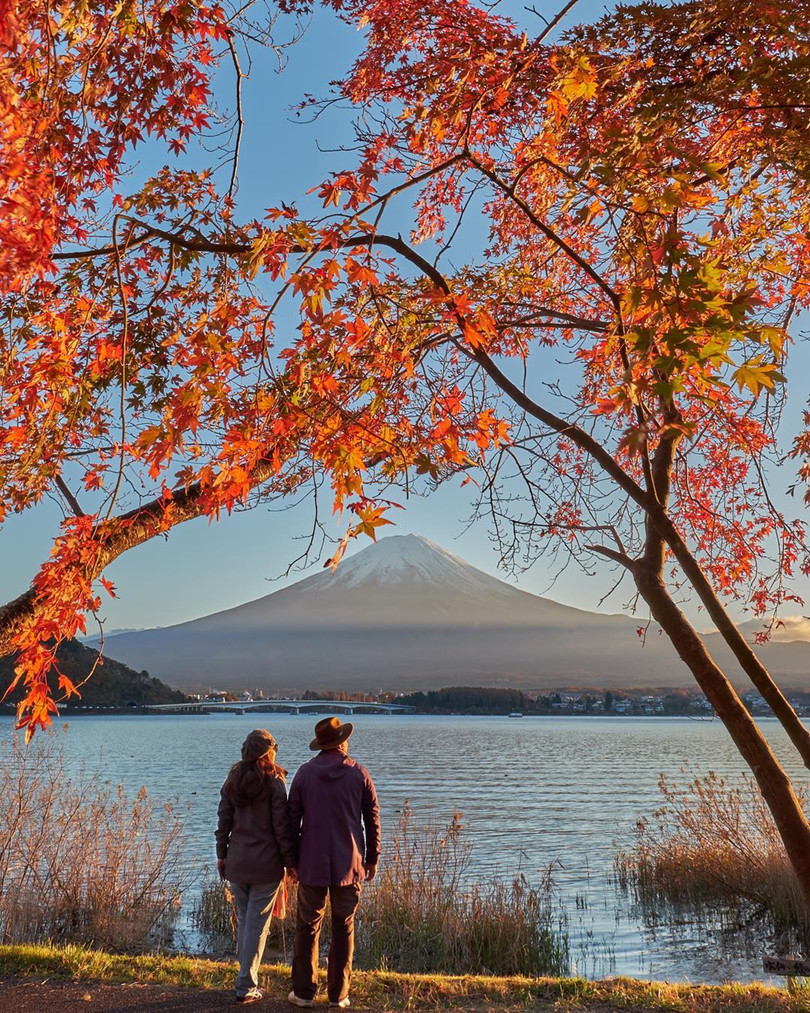 Rừng lá phong đỏ rợp trời thu Nhật Bản