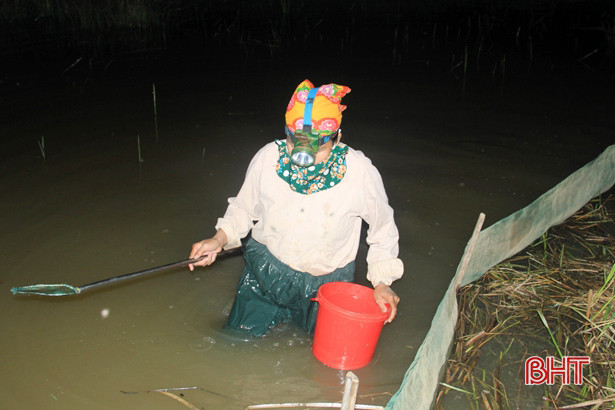 Người dân Xuân Hồng chong đèn, lội ruộng “săn” đặc sản trong đêm