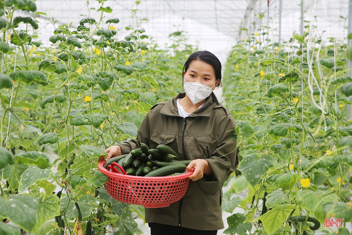 Tuổi trẻ Hà Tĩnh: Đoàn kết, bản lĩnh, khát vọng, tiên phong, sáng tạo