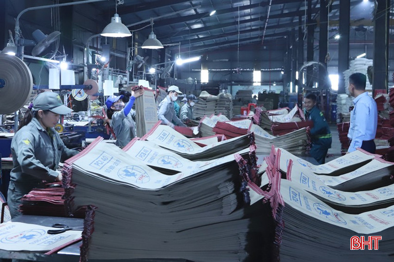 Công ty CP Sao Mai luôn tạo điều kiện thuận lợi cho người lao động. 5-8367.jpg