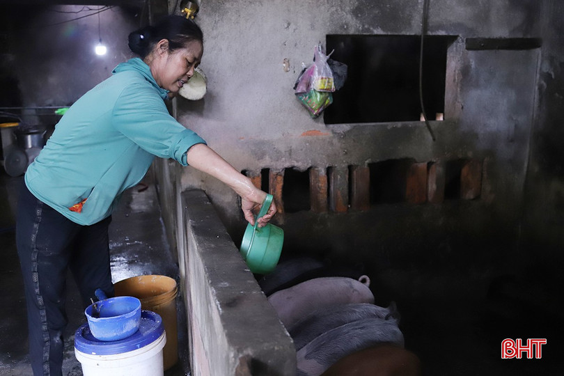Med sterk støtte fra klubbens hovedstad har fru Tran Thi Ha bygget en økonomisk modell for å forsørge familien sin. Với sự hỗ trợ đắc lực từ nguồn vốn của CLB, chị Trần Thị Hà gây dựng được mô hình kinh tế, trang trải cuộc sống gia đình.
