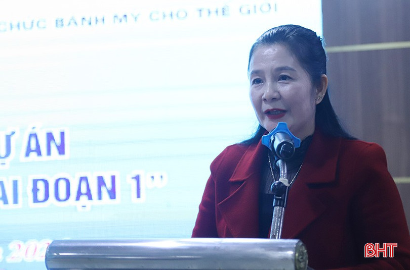 Chủ tịch Hội LHPN huyện Kỳ Anh Phạm Thị Hương chia sẻ một số kinh nghiệm trong quá trình triển khai dự án trên địa bàn. bqbht_br_4.jpg