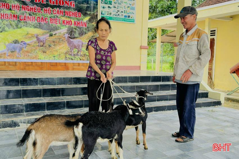 Nhiều hộ nghèo, cận nghèo, hoàn cảnh khó khăn ở huyện Hương Sơn được nhận hỗ trợ mô hình dê giống. 1.jpg