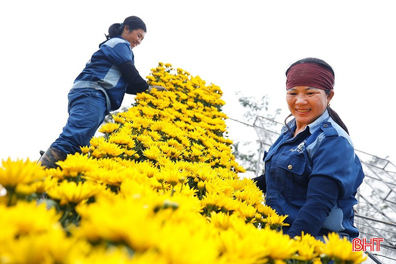 Thị xã Kỳ Anh rực rỡ đón xuân. Ảnh Thu Trang. bqbht_br_6.jpg