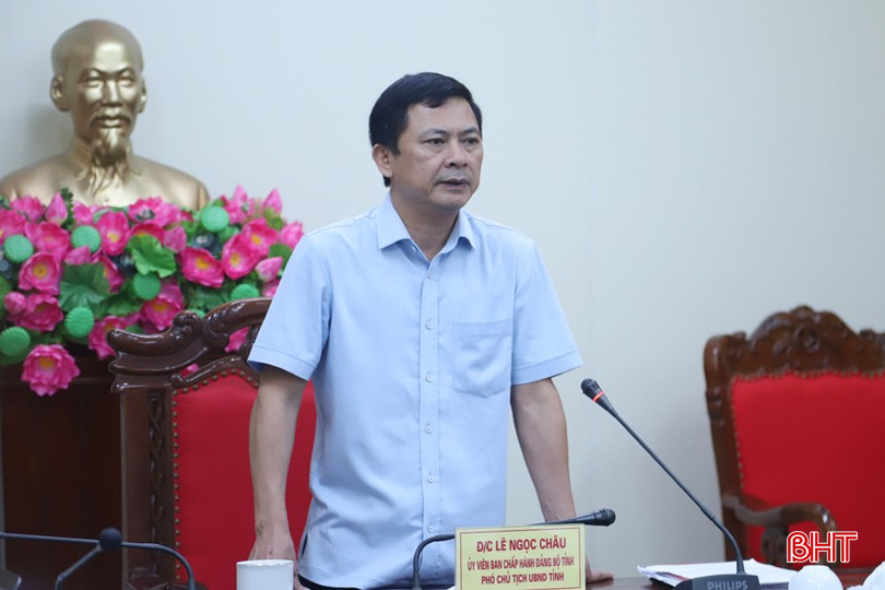 Phó Chủ tịch UBND tỉnh Lê Ngọc Châu - Trưởng ban Tổ chức các hoạt động kỷ niệm 110 năm Ngày sinh đồng chí Lý Tự Trọng phát biểu kết luận cuộc họp. 3-2604.jpg