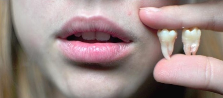 10 bộ phận bị cho là vô dụng trên cơ thể người