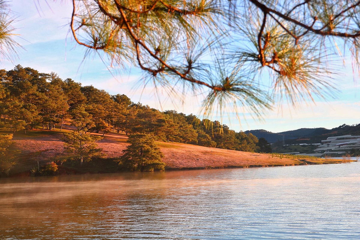 Check-in đồi cỏ hồng Đà Lạt ngày chớm đông