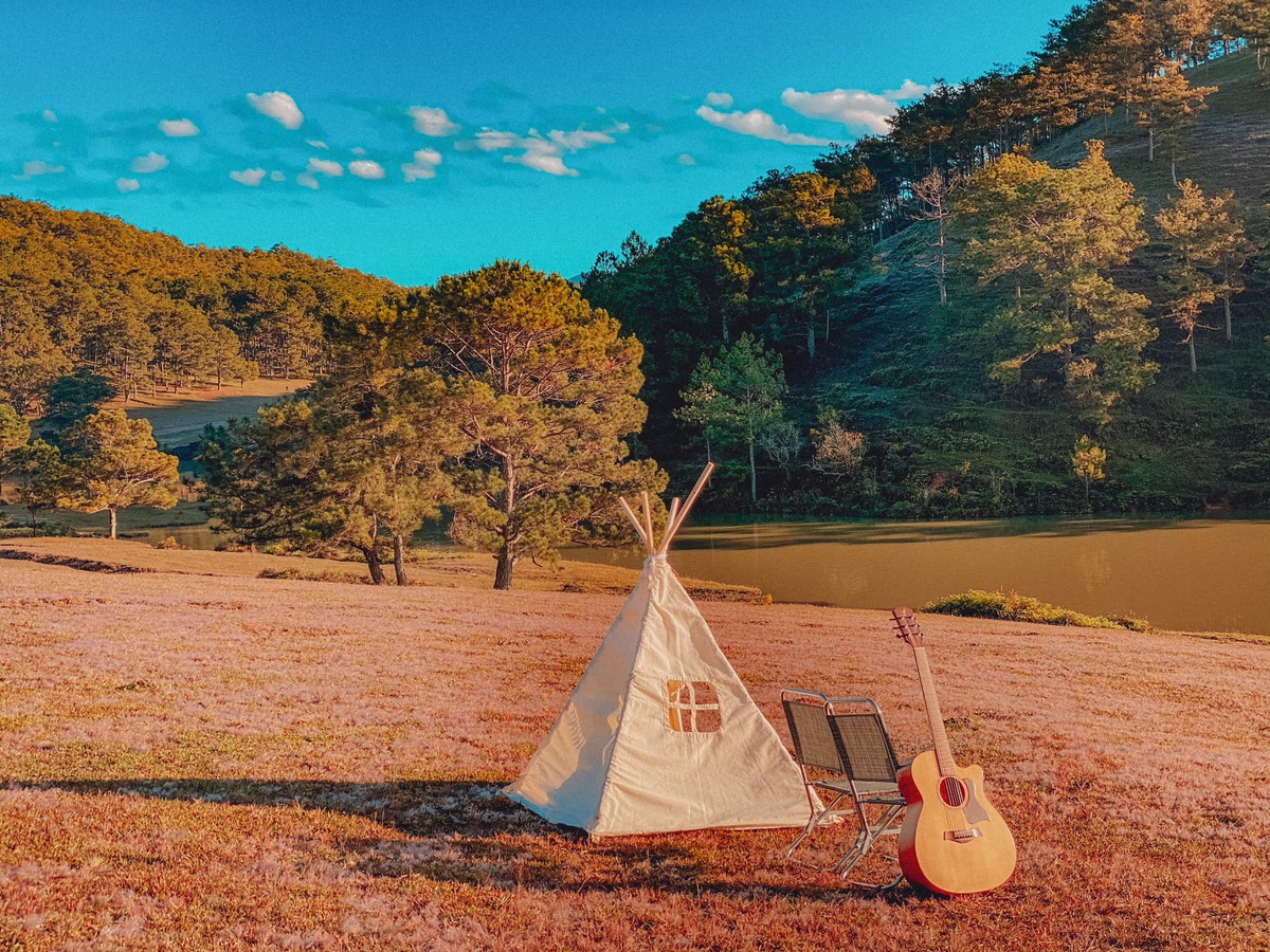 Check-in đồi cỏ hồng Đà Lạt ngày chớm đông