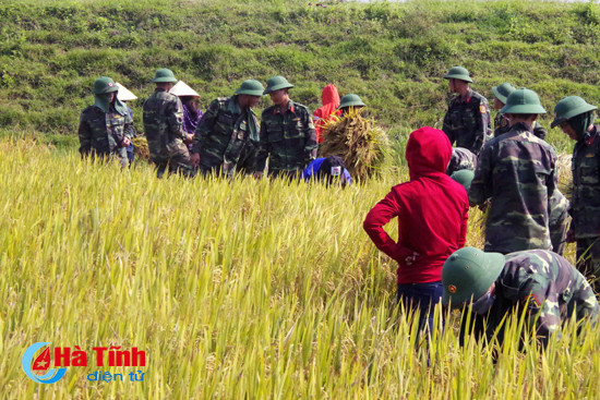 bo doi xuong dong giup dan thu hoach mua